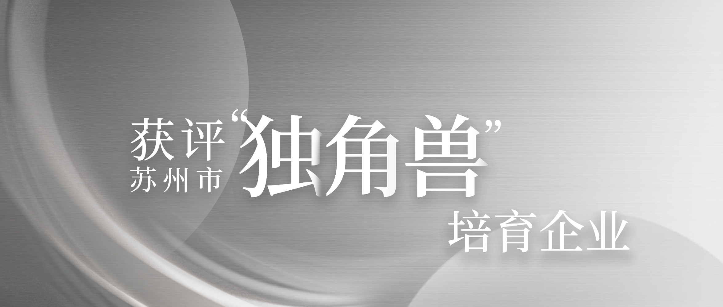 迈胜医疗